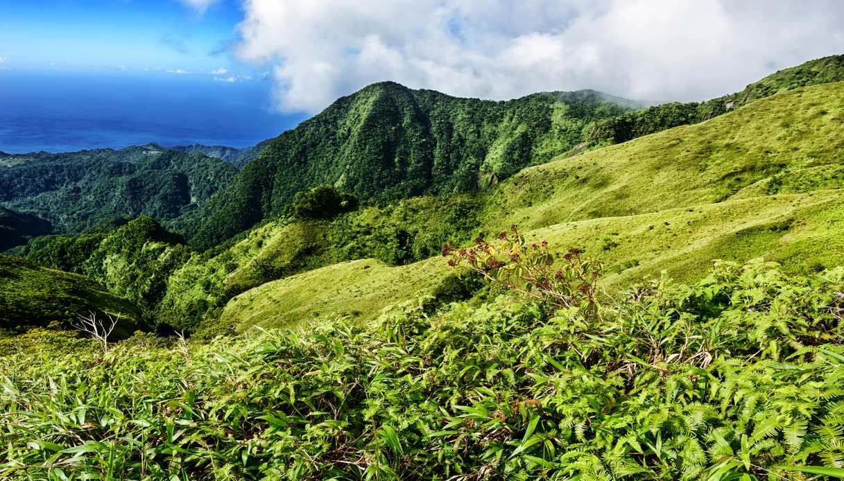 Vulcani e foreste del monte Pelée e dei pitons della Martinica settentrionale, Unesco