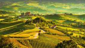 degustazione-vini-langhe