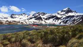 King Edward Point, la capitale meno popolata al mondo