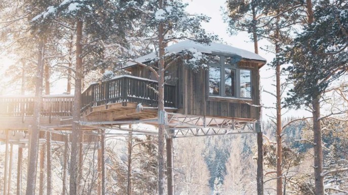 Tree Hotel: dormire in un nido d’uccello nella foresta svedese