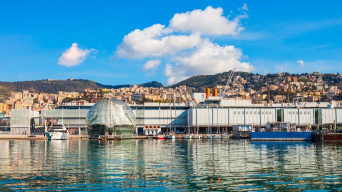 Come organizzare una visita all’Acquario di Genova