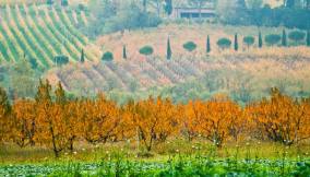 Autunno Emila-Romagna