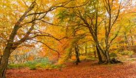 A due passi da Roma puoi vivere una fiaba autunnale