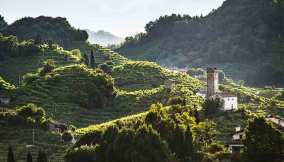 colline-Conegliano-Valdobbiadene-Prosecco-riconosciute-Patrimonio-Unesco