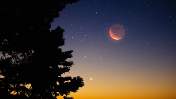 Stelle cadenti e abbracci tra pianeti: il cielo del mese si accende di magia