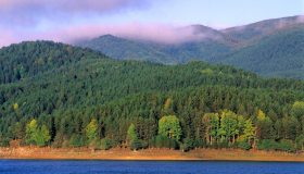 I Giganti della Sila si tingono di meraviglia: è esploso il foliage