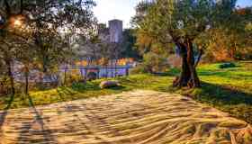 Frantoi aperti: 5 weekend alla scoperta dell’oro giallo d’Umbria