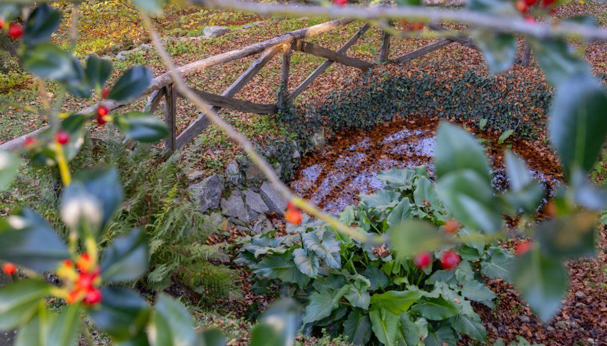 Scorci magici nel giardino di Casa Lorella