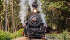 Il viaggio in treno d’epoca che ti conduce nel bar nella foresta