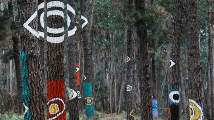 La foresta in Spagna che è stata trasformata in un’opera d’arte