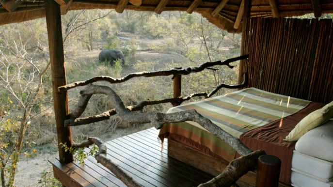 La camera da letto con vista sugli elefanti: un sogno  --- (Fonte immagine: https://siviaggia.it/wp-content/uploads/sites/2/2023/11/Gambabili.jpg?w=687&h=386&quality=90&strip=all&crop=1)