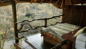 La camera da letto con vista sugli elefanti: un sogno