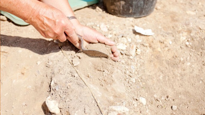 Aquileia: scoperte nuove tracce di un passato importante
