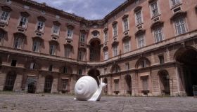 Alla scoperta degli emozionanti eventi firmati Limitless Solutions