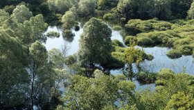 Come per magia: dopo due anni il lago riappare