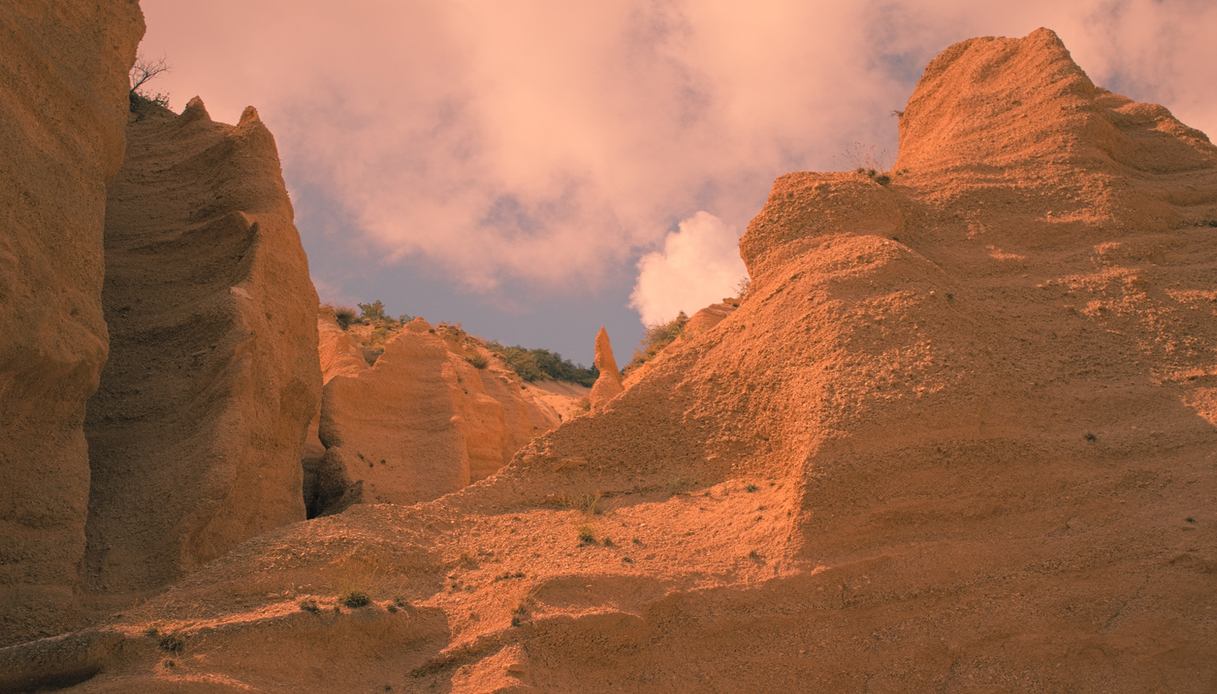 Lame Rosse