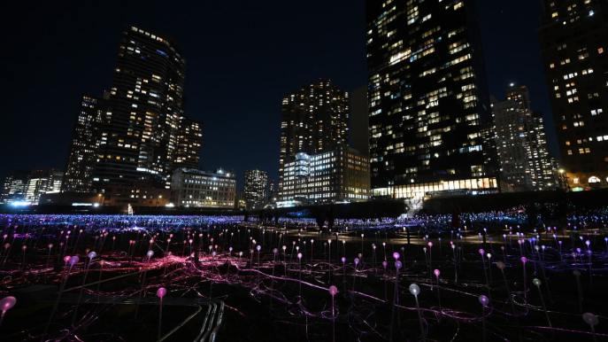 Un mare di luci e colori sta illuminando New York: è magia