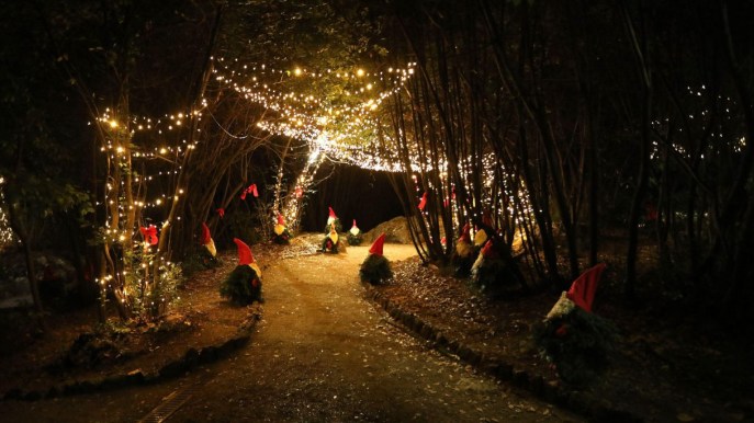 C’è una foresta delle meraviglie che a Natale è popolata dai 7 nani
