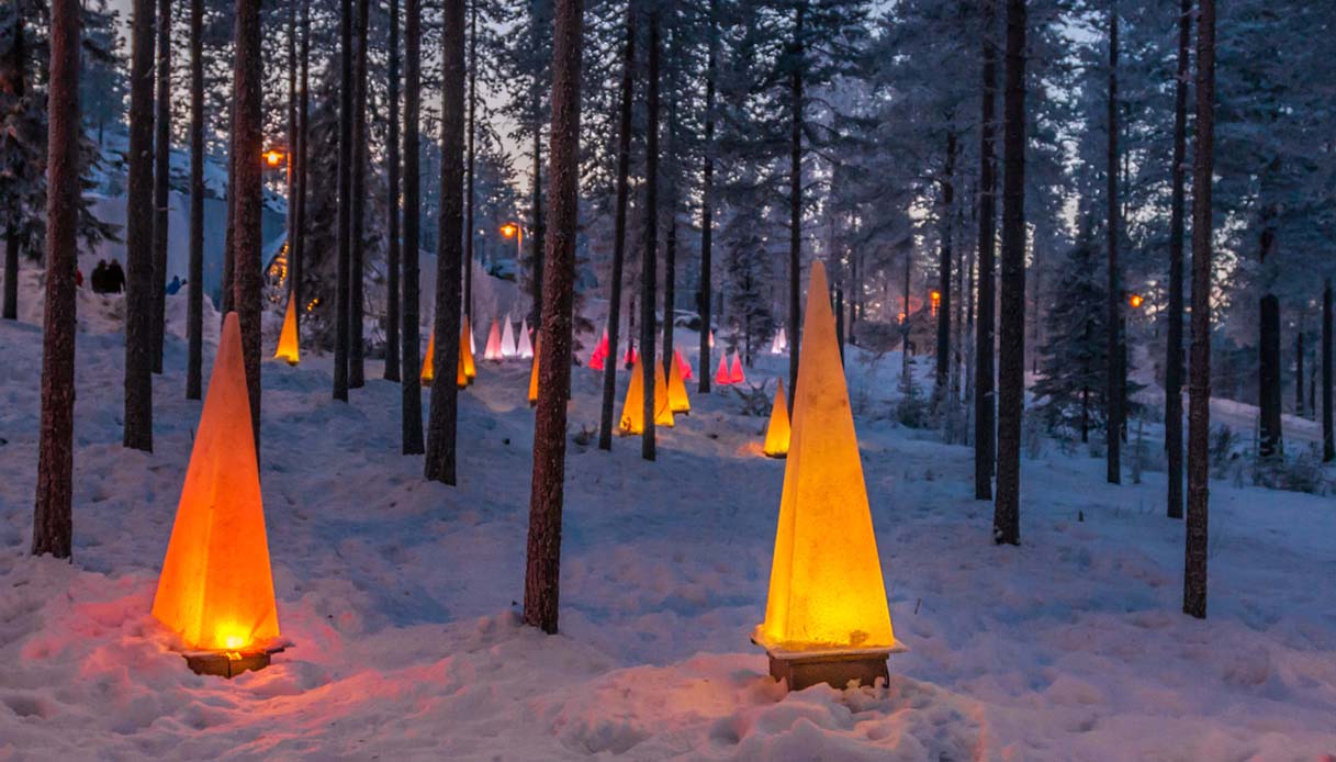 Foresta in Finlandia con addobbi natalizi