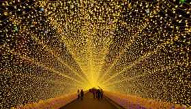 Le luci sono state accese: questo è l’evento più scintillante del mondo