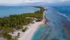 Maldive, non solo mare: dove e quali sono le sue foreste