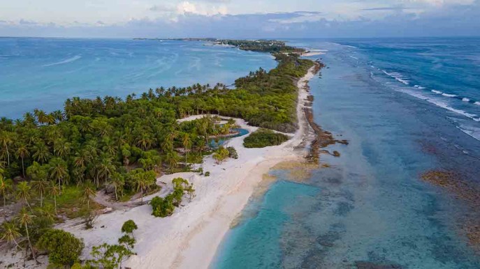 Maldive, non solo mare: dove e quali sono le sue foreste