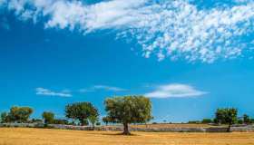 In Italia c’è un nuovo e bellissimo giardino da visitare