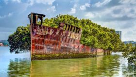 Su questa nave abbandonata la natura ha creato un capolavoro