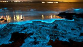 Questa è la spiaggia più bianca del mondo: di notte si trasforma in uno spettacolo fluorescente