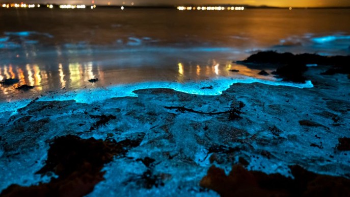 Questa è la spiaggia più bianca del mondo: di notte si trasforma in uno spettacolo fluorescente