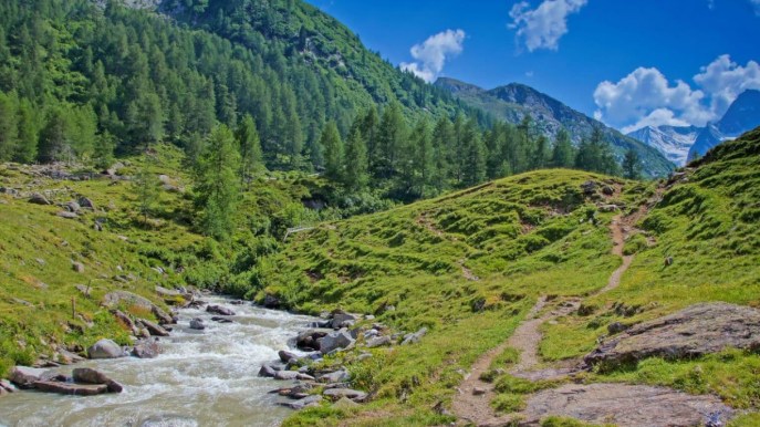 Valle del Vanoi, il Trentino più verde che c’è