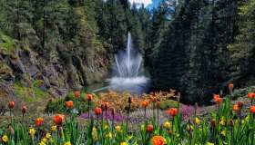 “Garden tourism”: le migliori mete d’Europa