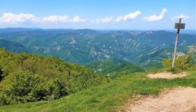 Poggio Scali, un’escursione di primavera nel Parco nazionale delle Foreste Casentinesi