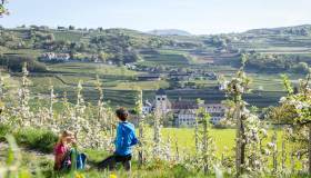 La primavera in Alto Adige è un fiorire di novità ed eventi imperdibili