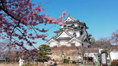 Kansai: un viaggio tra natura, spiritualità e storia del Giappone