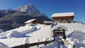Esperienze autentiche nei masi altoatesini del Gallo Rosso