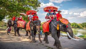 Stop ai pacchetti di viaggio che prevedono attrazioni con animali