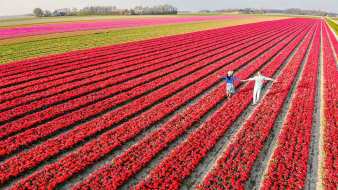 Viaggi di primavera​