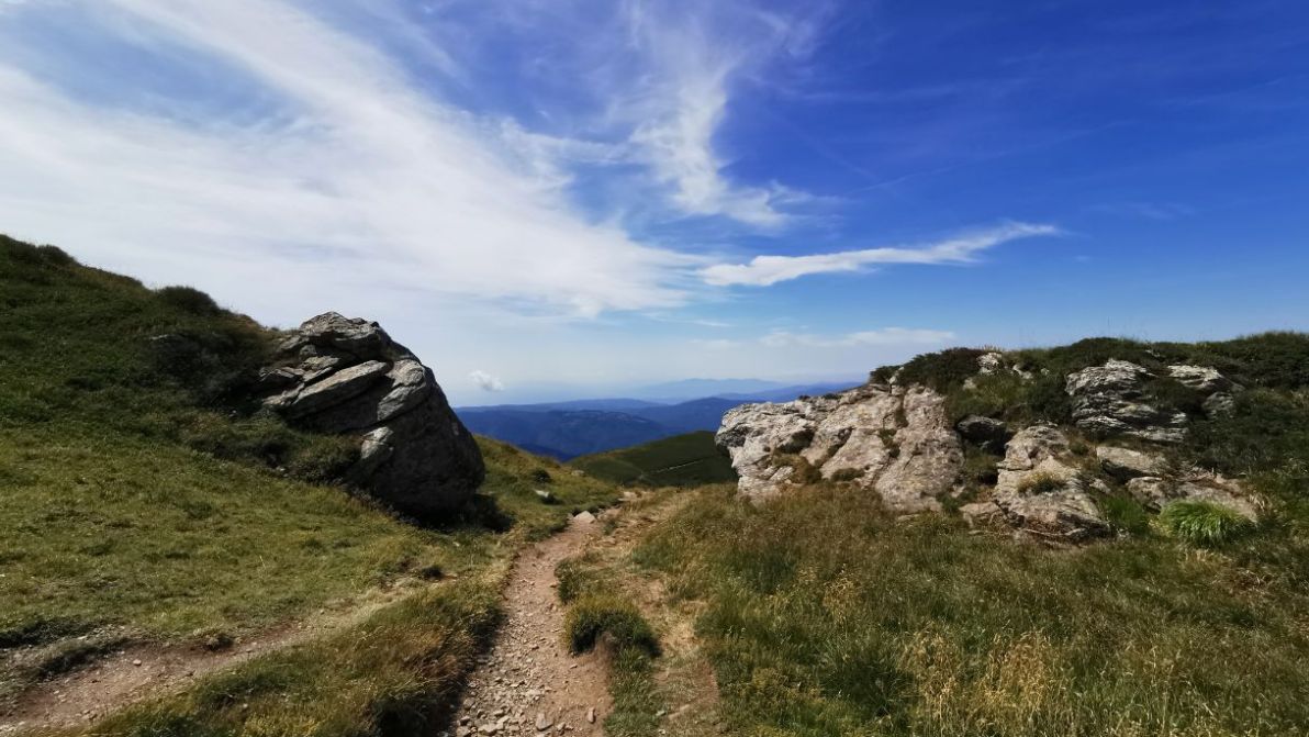Tra faggi e sentieri antichi: il lato più rilassante dell’Emilia-Romagna