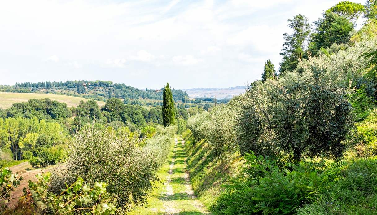 Nasce “Vini e cammini”, un nuovo progetto di promozione turistica in Italia