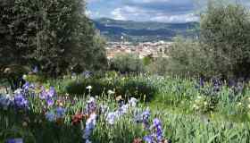 Riapre il bellissimo Giardino dell’Iris di Firenze