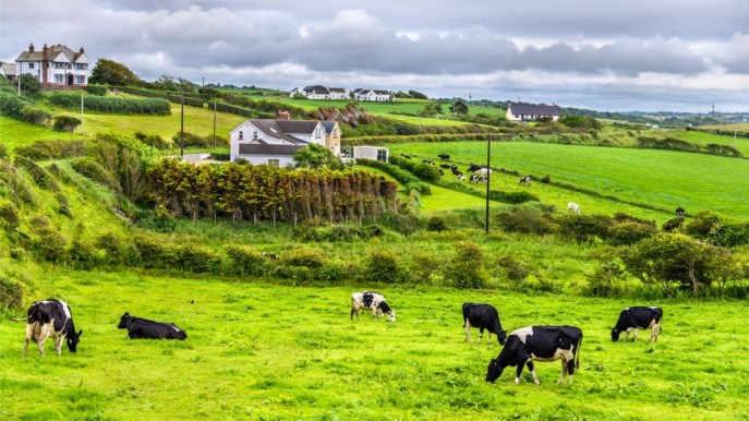 AAA Cercasi amanti della natura: l’Irlanda ti offre vitto e alloggio