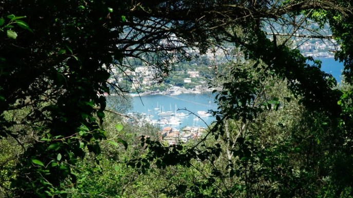 Livesanta Green torna a Santa Margherita Ligure per la sua seconda edizione
