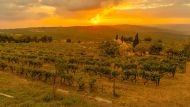 L’Appennino Tosco-Emiliano: il rifugio perfetto per chi cerca buona cucina e tranquillità