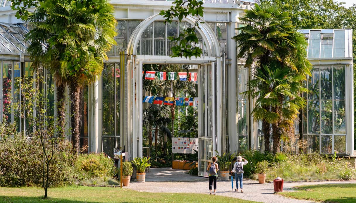 Ginevra: una delle oasi cittadine è il giardino botanico