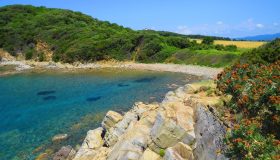 Mare in Toscana, le spiagge selvagge più belle