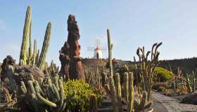 Viaggio a Lanzarote: visitare l’isola tra vulcani, surf e buon vino