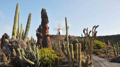 Viaggio a Lanzarote: visitare l’isola tra vulcani, surf e buon vino
