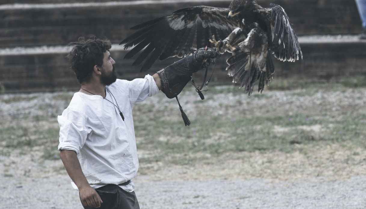 Un momento della dimostrazione di volo ad opera dei maestri falconieri a Brindisi Montagna