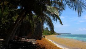 L’Isola di Mona, un angolo di paradiso a Porto Rico